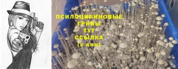 дживик Армянск
