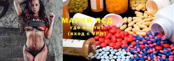 крисы Аркадак