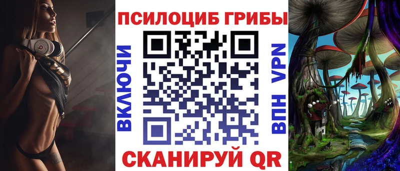 Псилоцибиновые грибы Cubensis  KRAKEN сайт  Сочи 